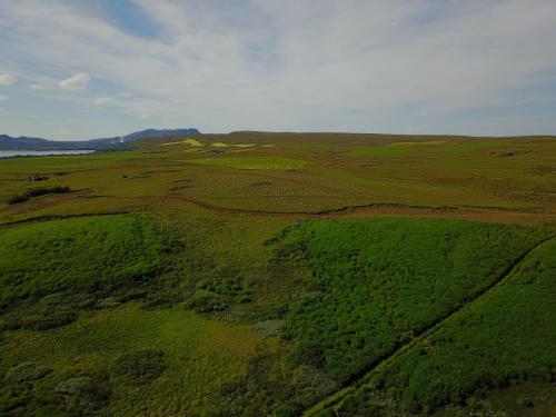 DJI 0011