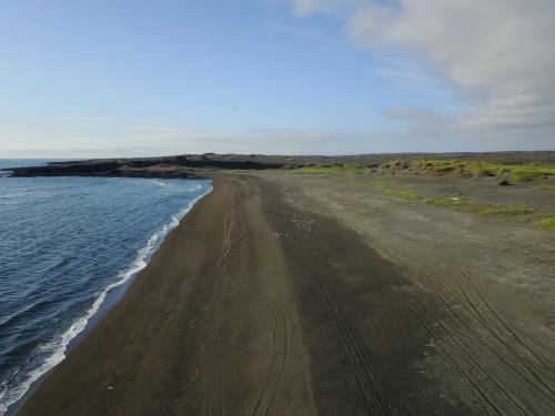 DJI 0018