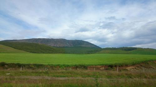 IMG-20170806-WA0010