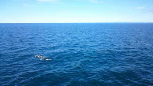 IMG-20170806-WA0031