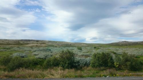 IMG-20170806-WA0051