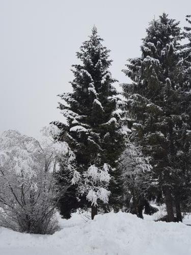 20180202 123641