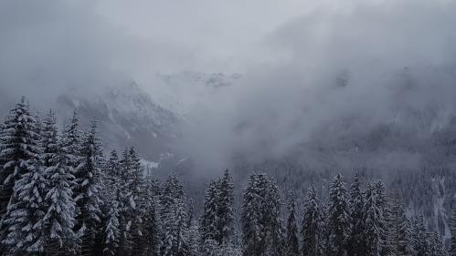 20180202 160058