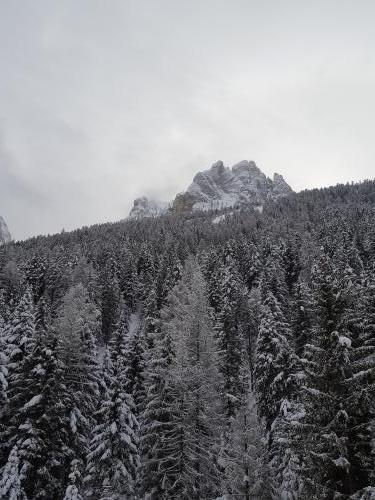 20180202 161946